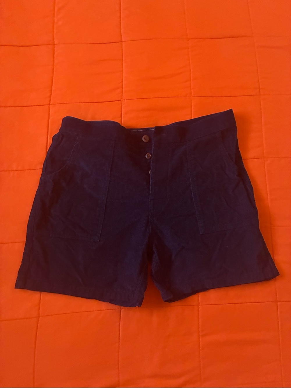 Birdwell Beach Britches Navy Blue Corduroy Casual Shorts Button Pockets 34